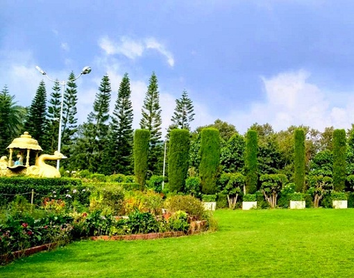 Top 5 Hotel and resort in Abu Road